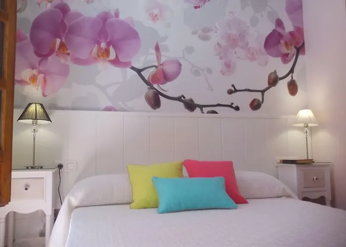 Catedral Centro Granada